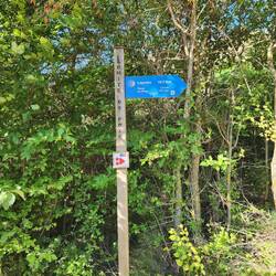 Only 16.7 Kms more to go...