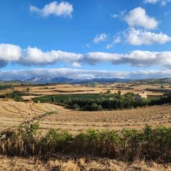 The view from the path