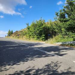 Now, cross the road...