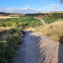 Down and then over yonder