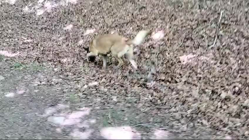 Tras 24 kilómetros