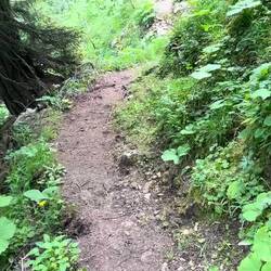 Schöner Singletrail
