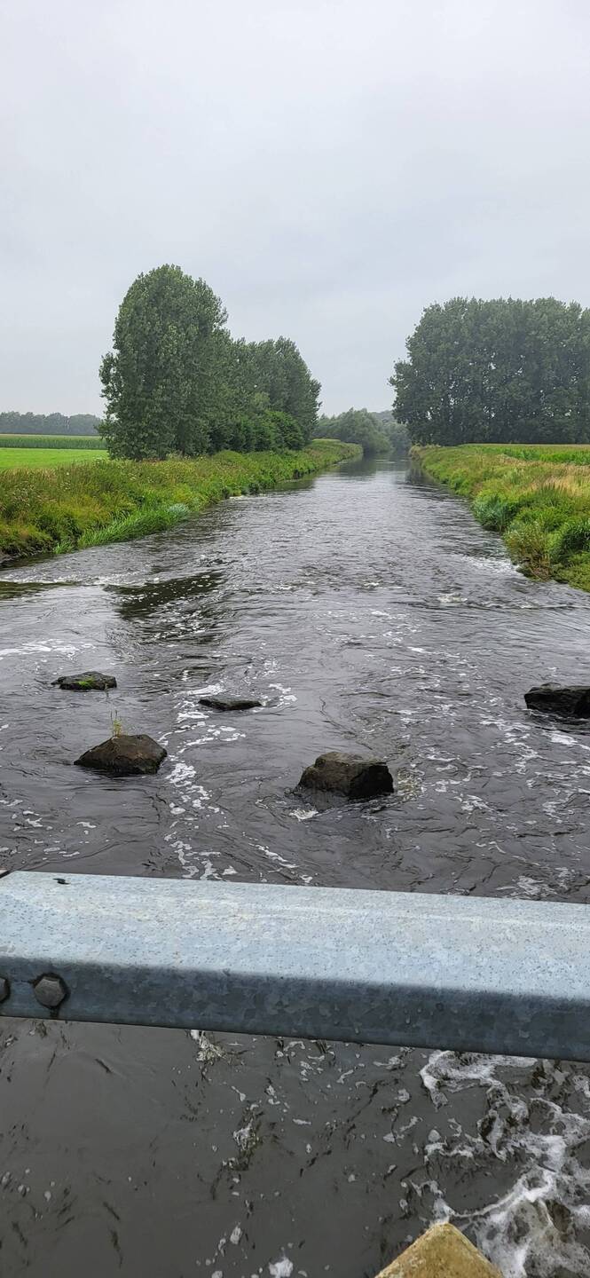 Hier wird die Ems schon zu einem richtigen Fluss