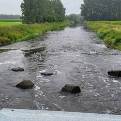 Hier wird die Ems schon zu einem richtigen Fluss