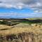 View from the path (olive grove below)
