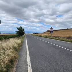 Along the road