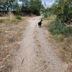 The welcome committee