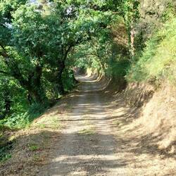 Ganz ehrlich - der Weg ist hier so schön, dass mir die Verlängerung nichts ausmacht.