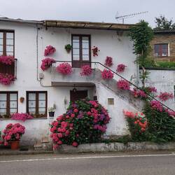 Haus in Renche.