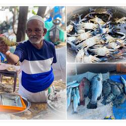Fresh seafood anyone? ... Fort Kochi Beach — Kochi, India.