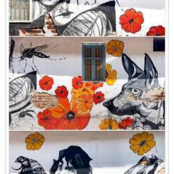 Murals in Kochi, India.