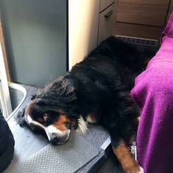 Pallina ist keine Nische zu eng oder klein. Sie liebt es!