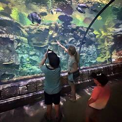 Mandalay Bay Aquarium