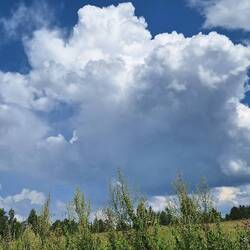 Faszinierend die Wolken