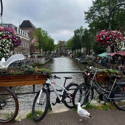 Obligatory daily canal pic