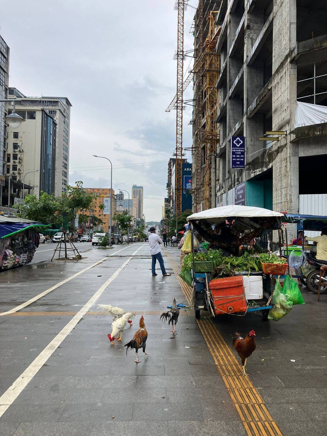 Chicken überall 🐓