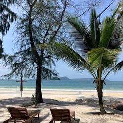 Paradise 🏝