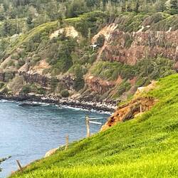 View from bird breeding ground