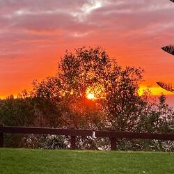 Sunset from Captain Cook lookout