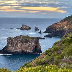 Bird breeding islets