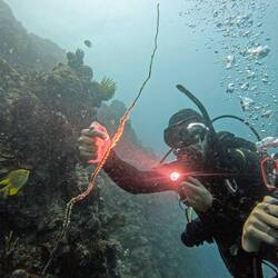 Our instructor, Mehdi, pointing out a little critter on this strand of rope