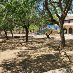 Through a park with cool murals