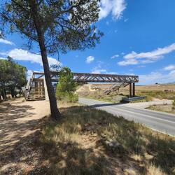 Interesting wooden walkway