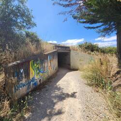 Through the tunnel