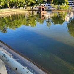 a little duck house ?