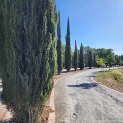 Looking behind at the park de San Miguel