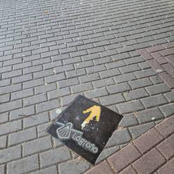 Look down to follow the arrows