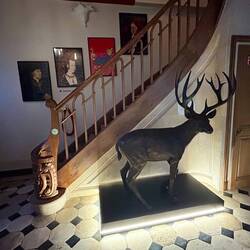 Nice hotel but a little deer