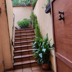 Stairs up to the courtyard
