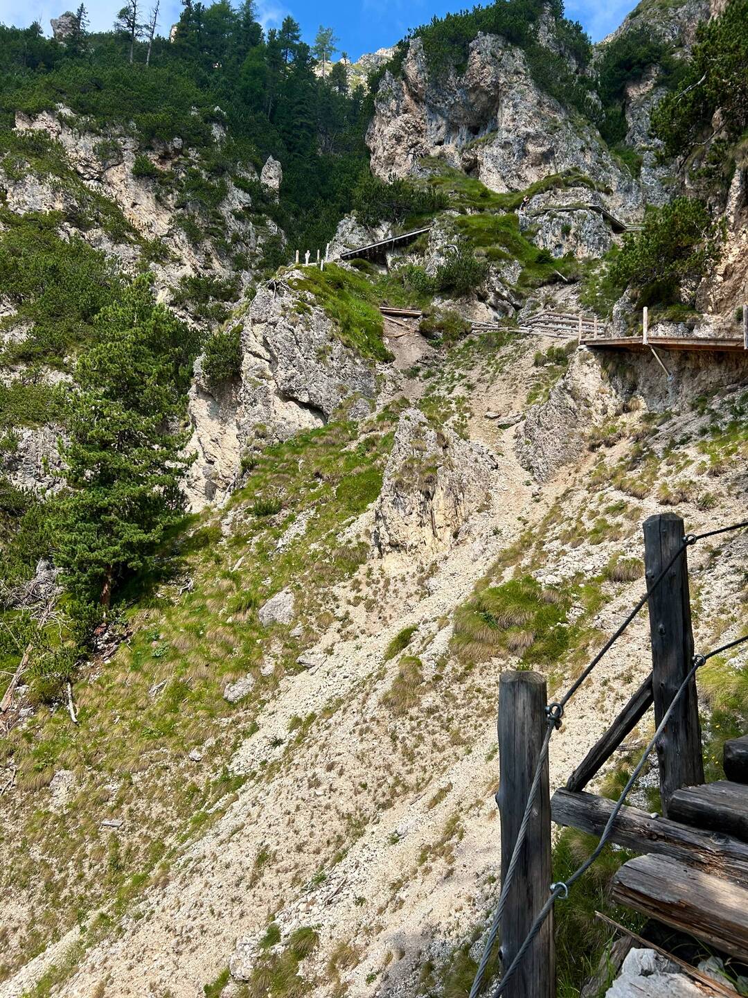 Die Bärenfalle