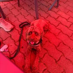 She looks good in red!