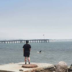 Blick auf den Surfstrand
