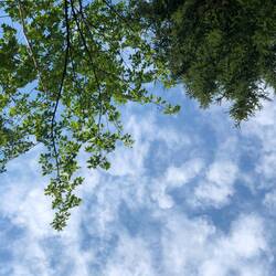 Perspektivenwechsel vom Badehandtuch