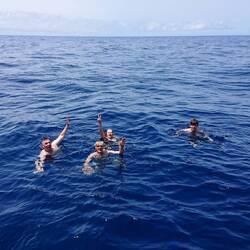 Schwimmen im Ozean ist herrlich