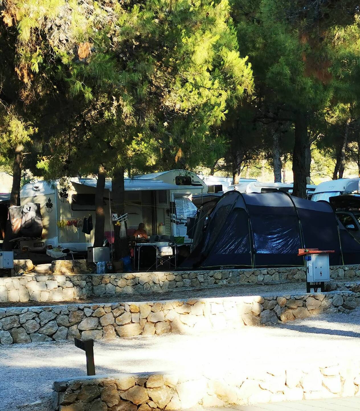 Unser Stellplatz unter Pinien