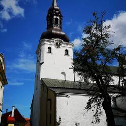 Dome of Tallinn