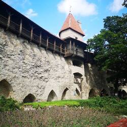 Danish King's Garden