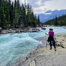 Mistaya River, from Peyto Glacier and River