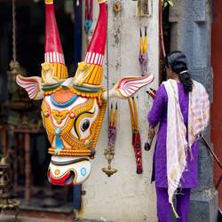 On our way to the Mattancherry Palace Museum — Kochi, India.