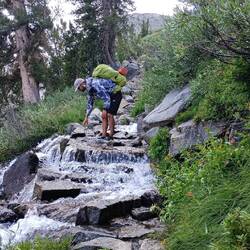 Chickpea baut Brücken