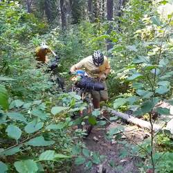 Manchmal ein Chrampf, der Abschnitt nennt sich: the wall!