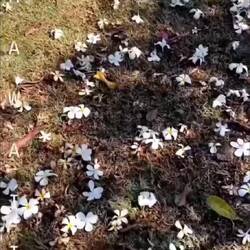 Video credit goes to Phi 🙏😊