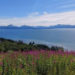 Kachemak Bay