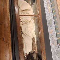 Mumie im Museum der Uni Tartu