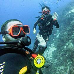 See you later from the underwater world