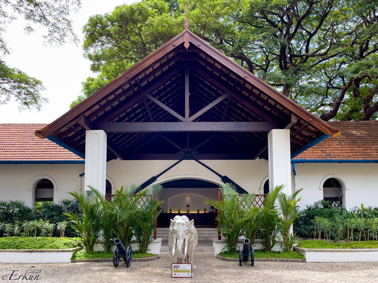 We are greeted by an elephant when we arrive at the Brunton Boatyard Hotel — Kochi, India.